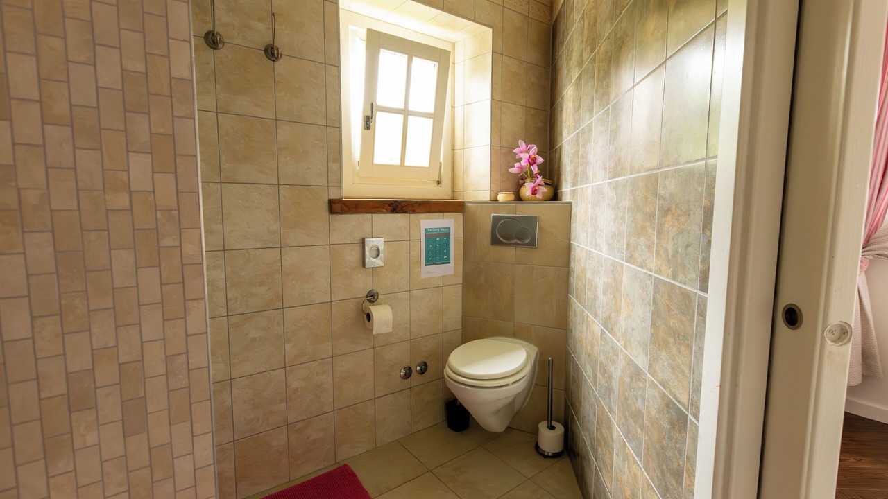 Photo of Bathroom in Baderna