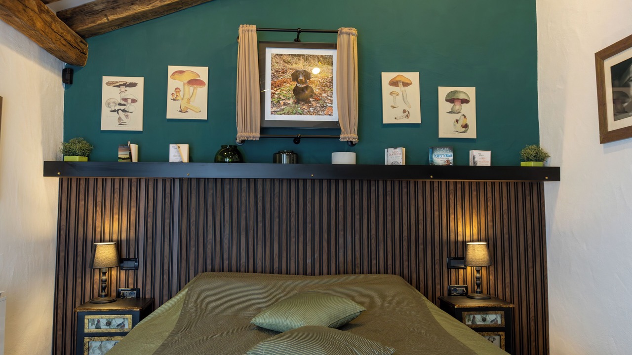 Photo of Bedroom in Baderna