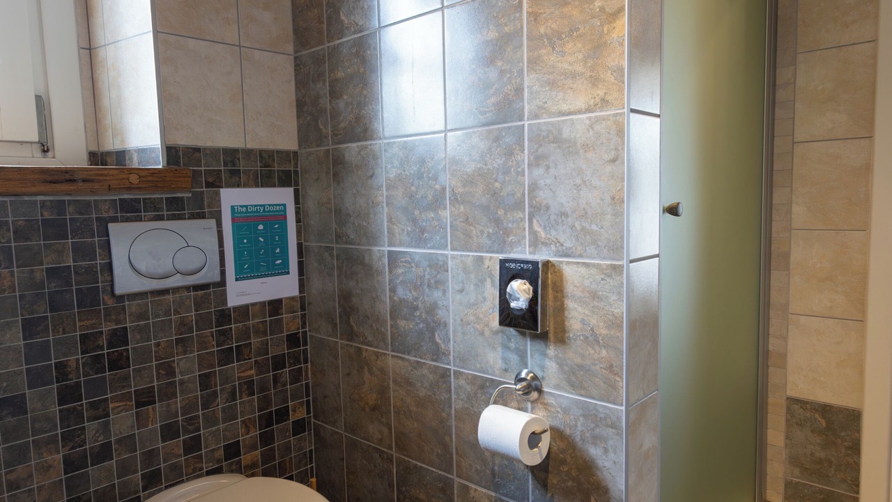 Photo of Bathroom in Baderna