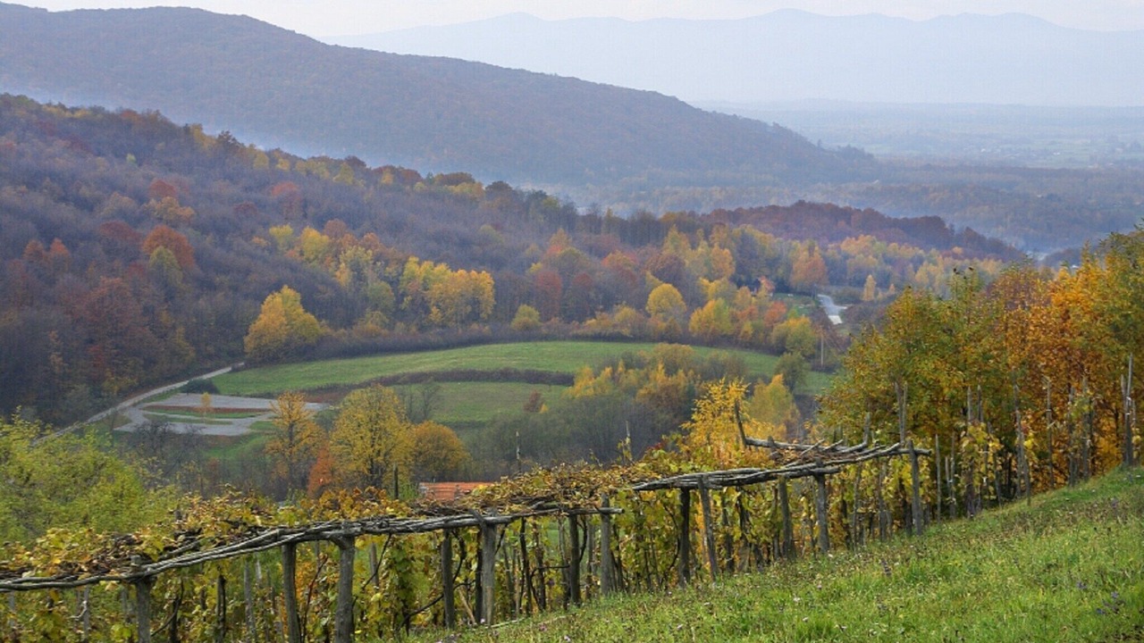 Photo of Others in Ribnik