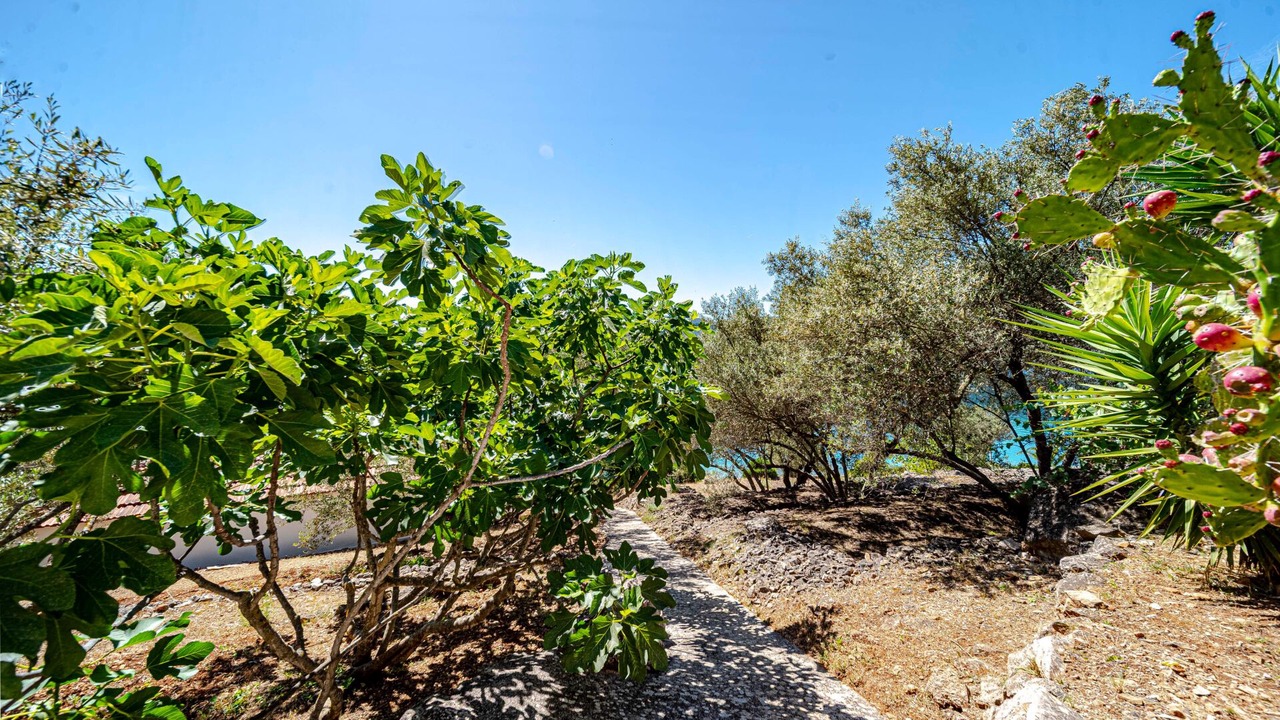 Photo of Outdoor in Vela Luka