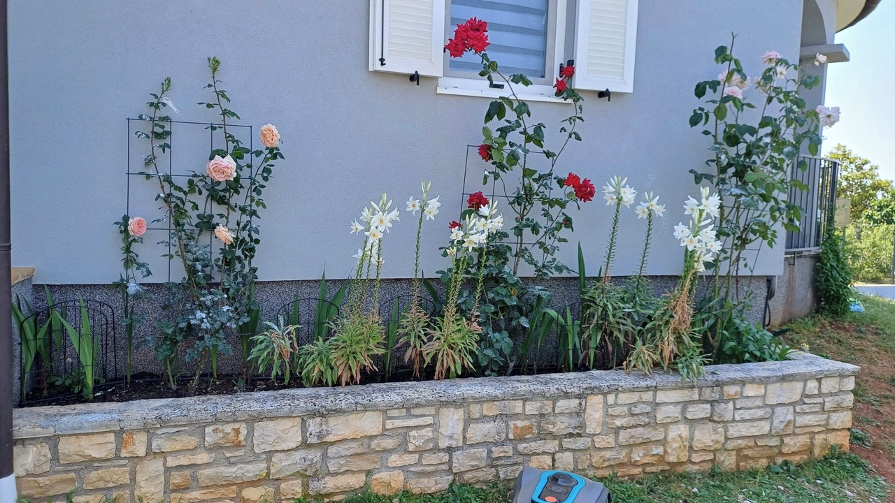 Photo of Outdoor in Visnjan