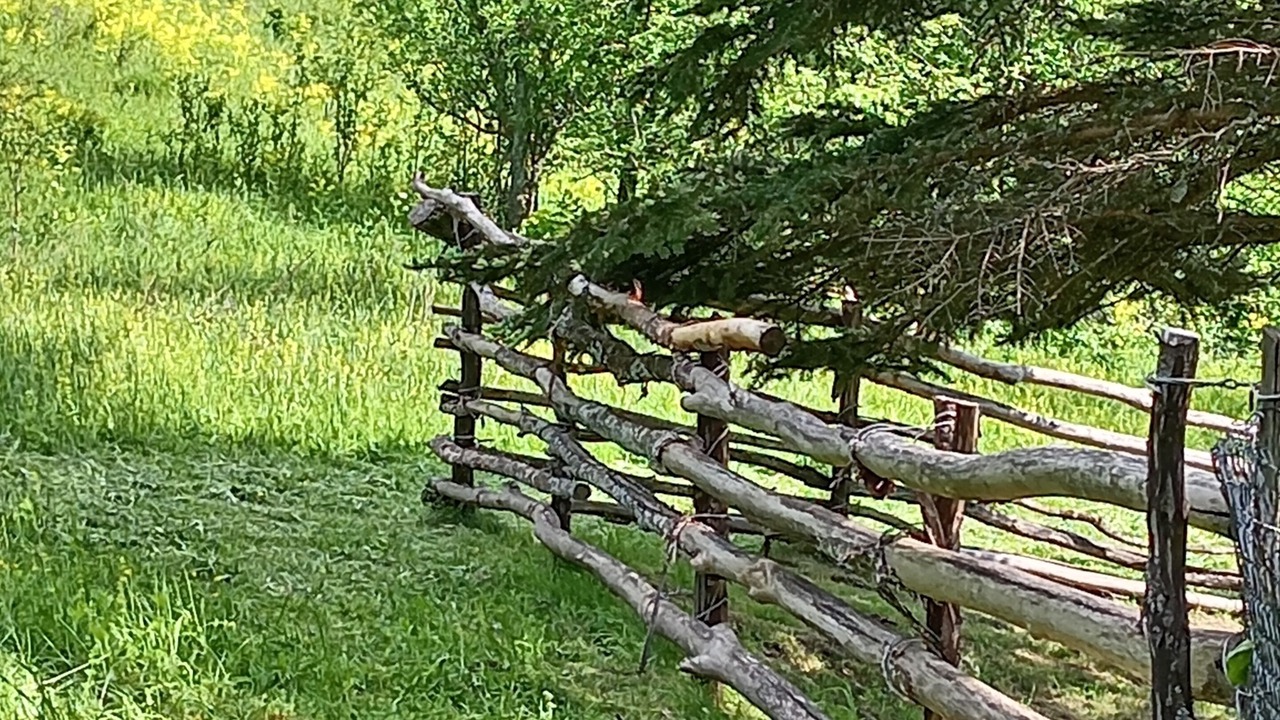 Photo of Others in Plitvicka Jezera