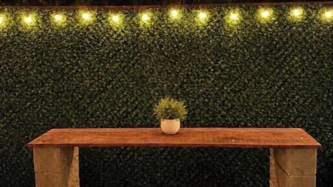 Photo of Outdoor in New Belgrade