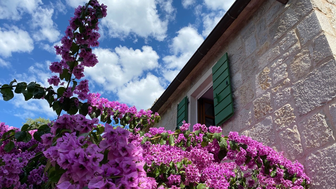 Photo of Outdoor in Borak