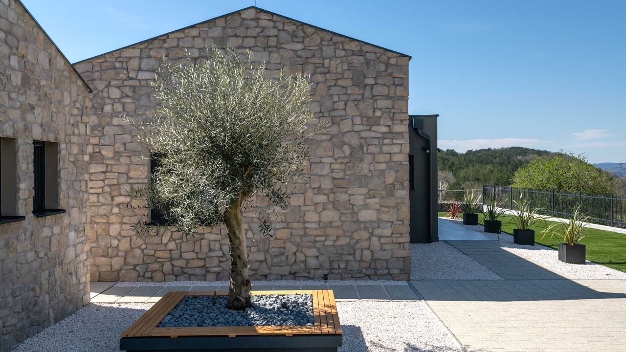 Photo of Outdoor in Hum