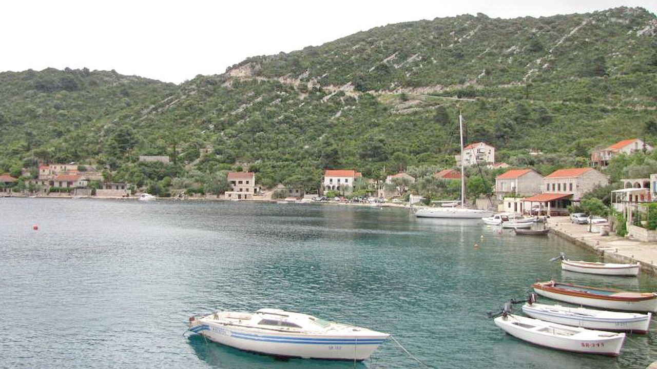 Photo of Others in Prozurska Luka