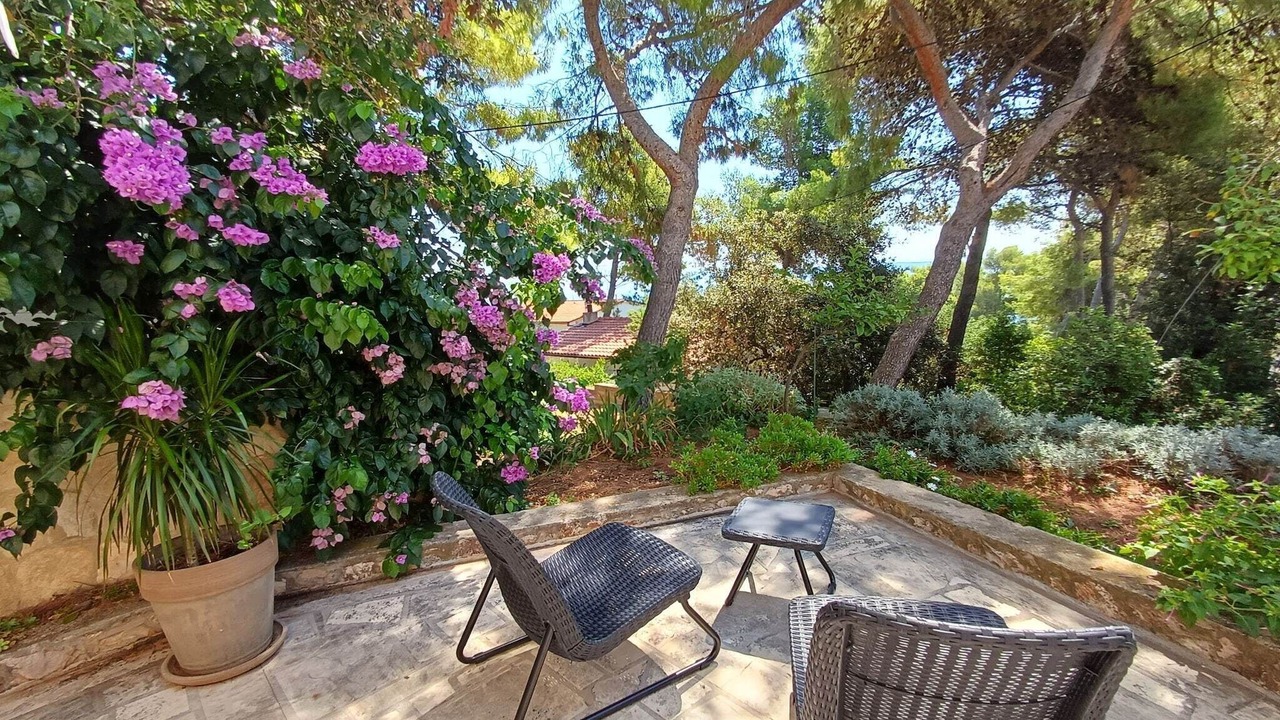 Photo of Outdoor in Zavala