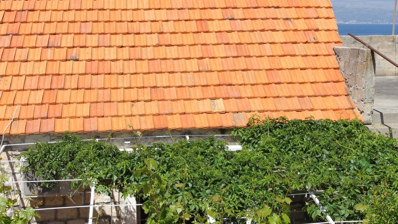 Photo of Outdoor in Sutivan