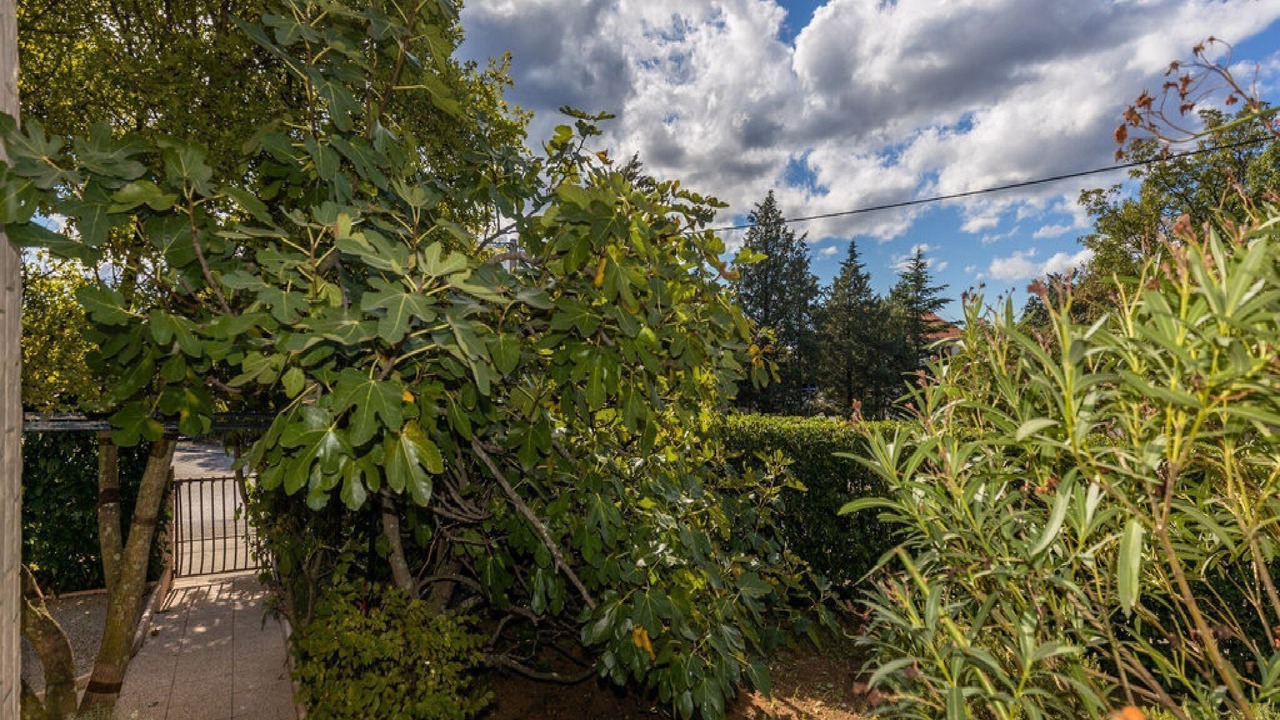 Photo of Outdoor in Jadranovo