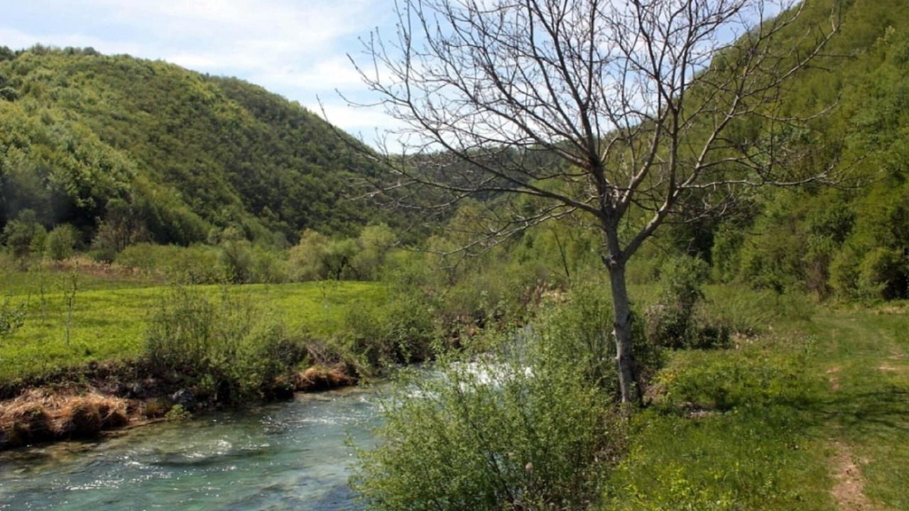 Photo of Others in Seliste Dreznicko