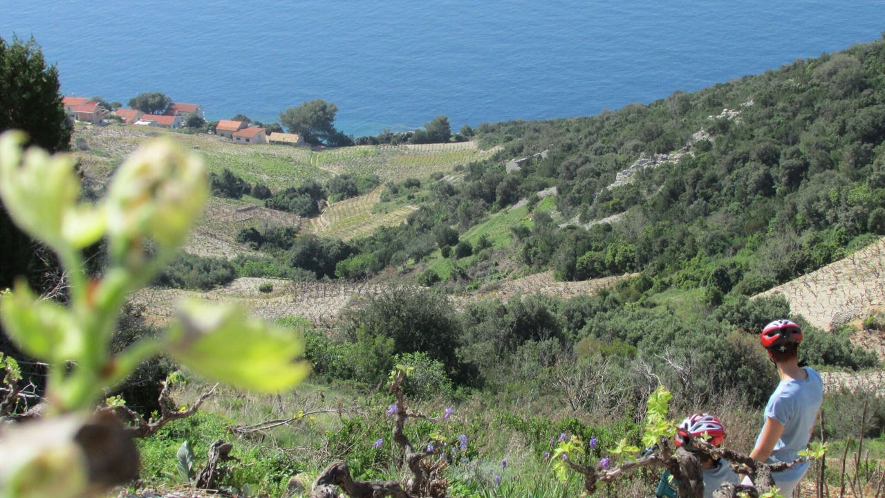 Photo of Others in Donja Banda