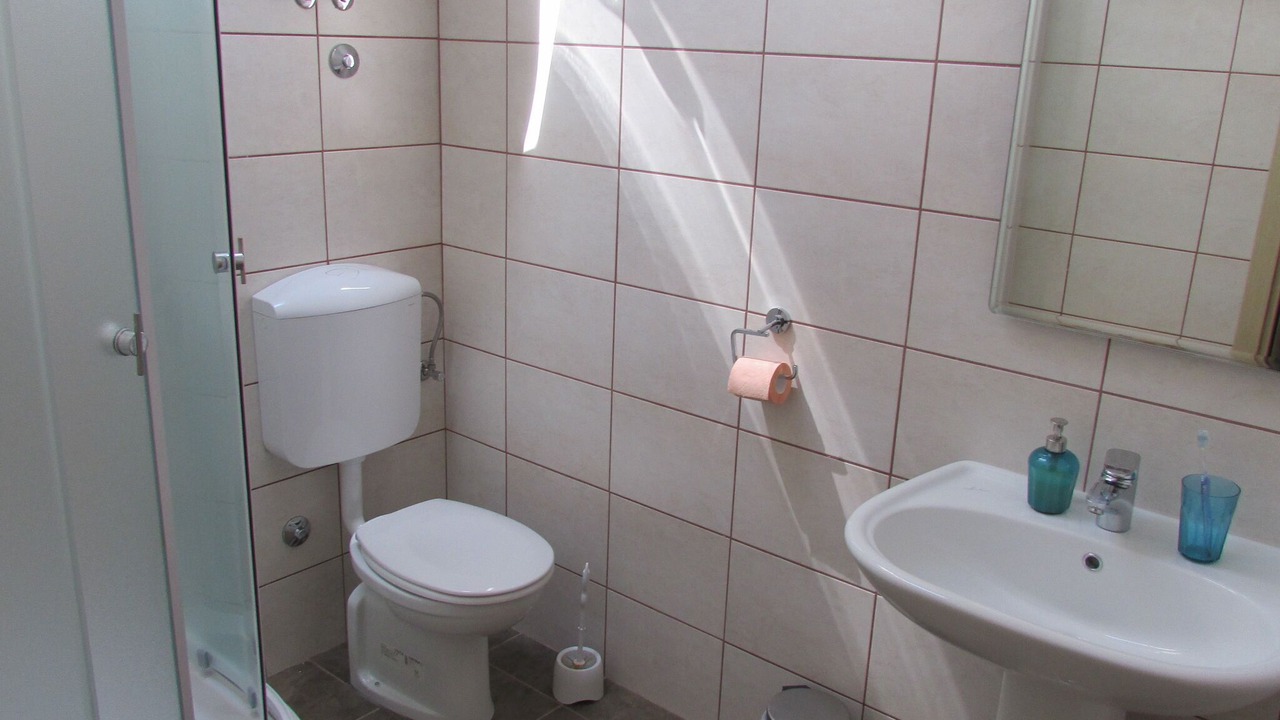 Photo of Bathroom in Donja Banda
