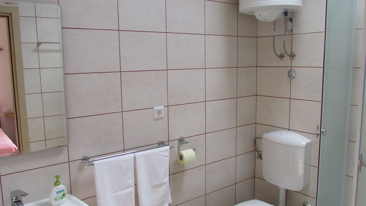 Photo of Bathroom in Donja Banda