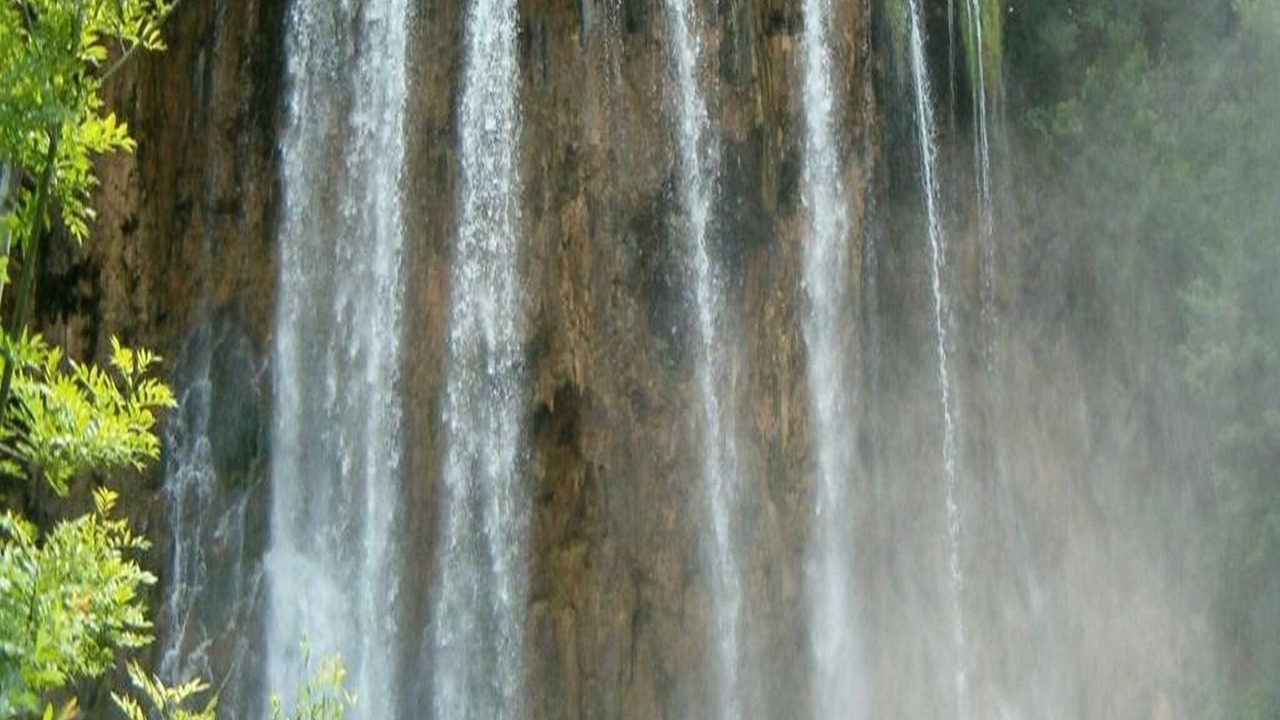 Photo of Others in Rakovica