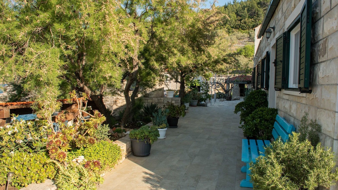 Photo of Outdoor in Blato