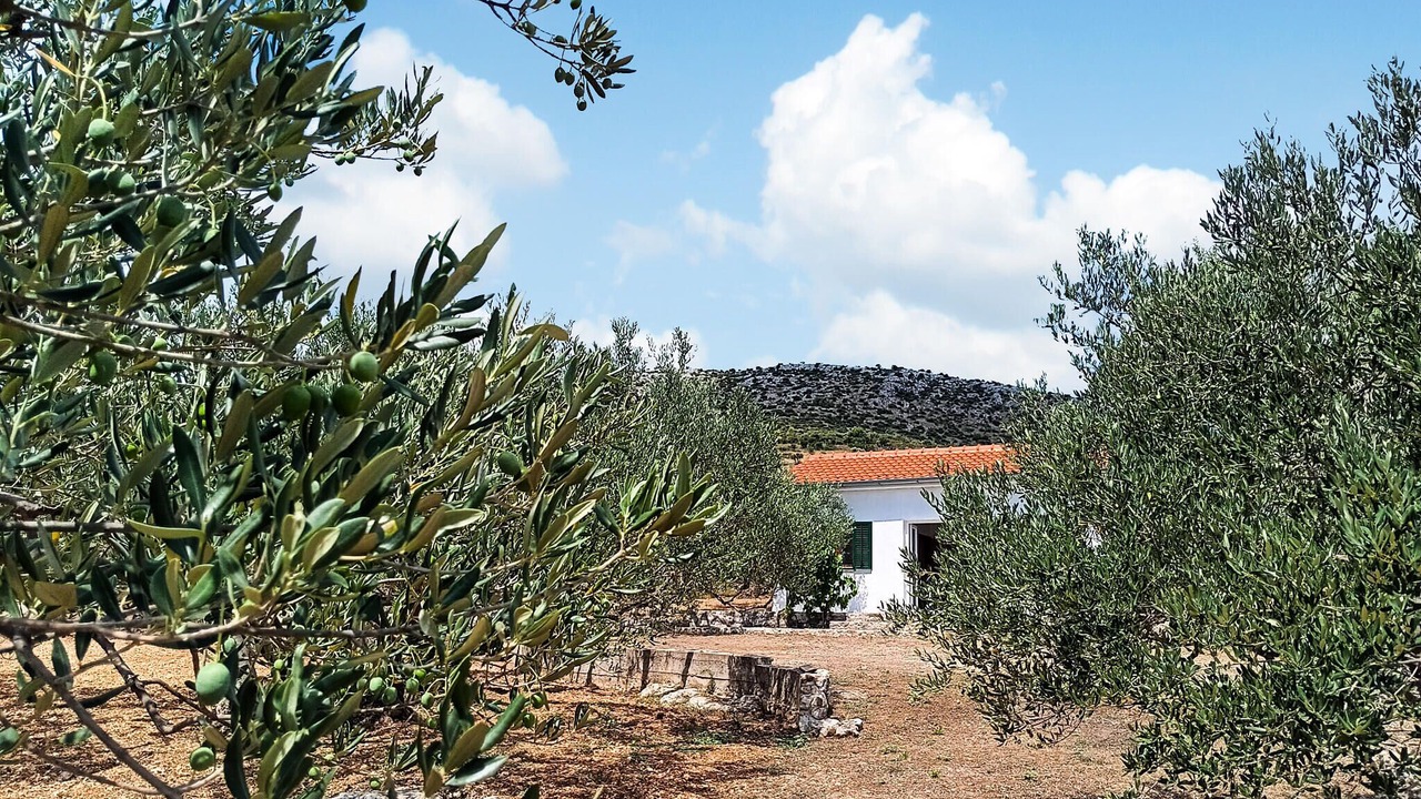 Photo of Others in Donje Polje