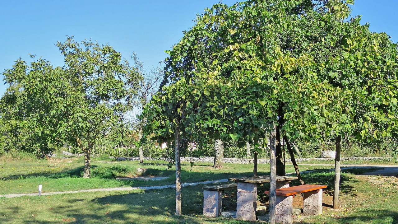 Photo of Others in Laginji