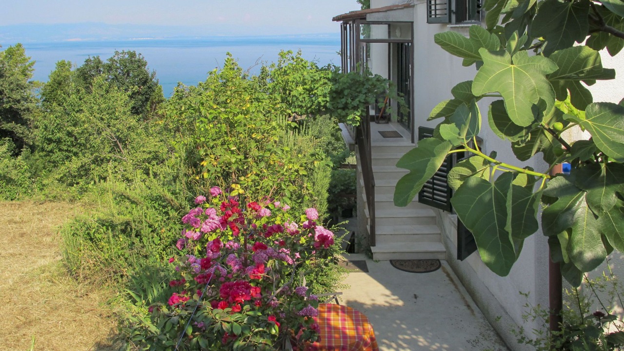 Photo of Outdoor in Mosenice