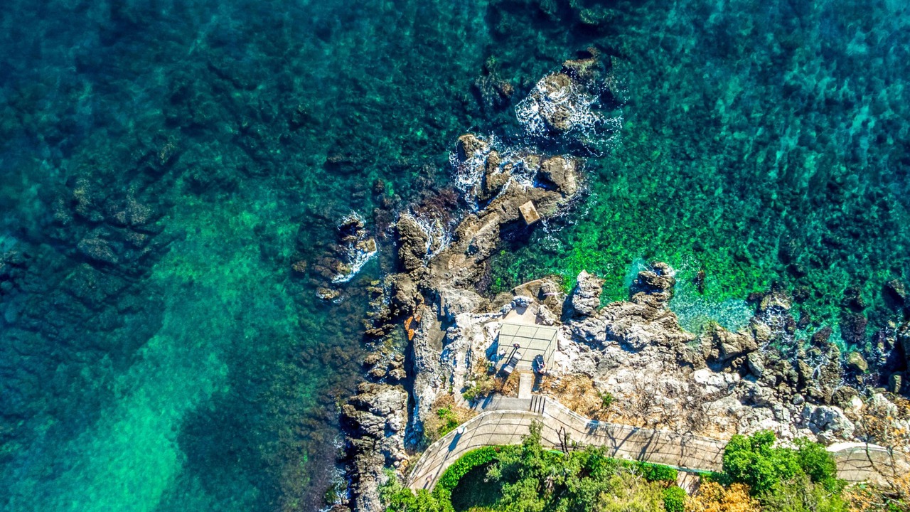 Photo of Others in Opric