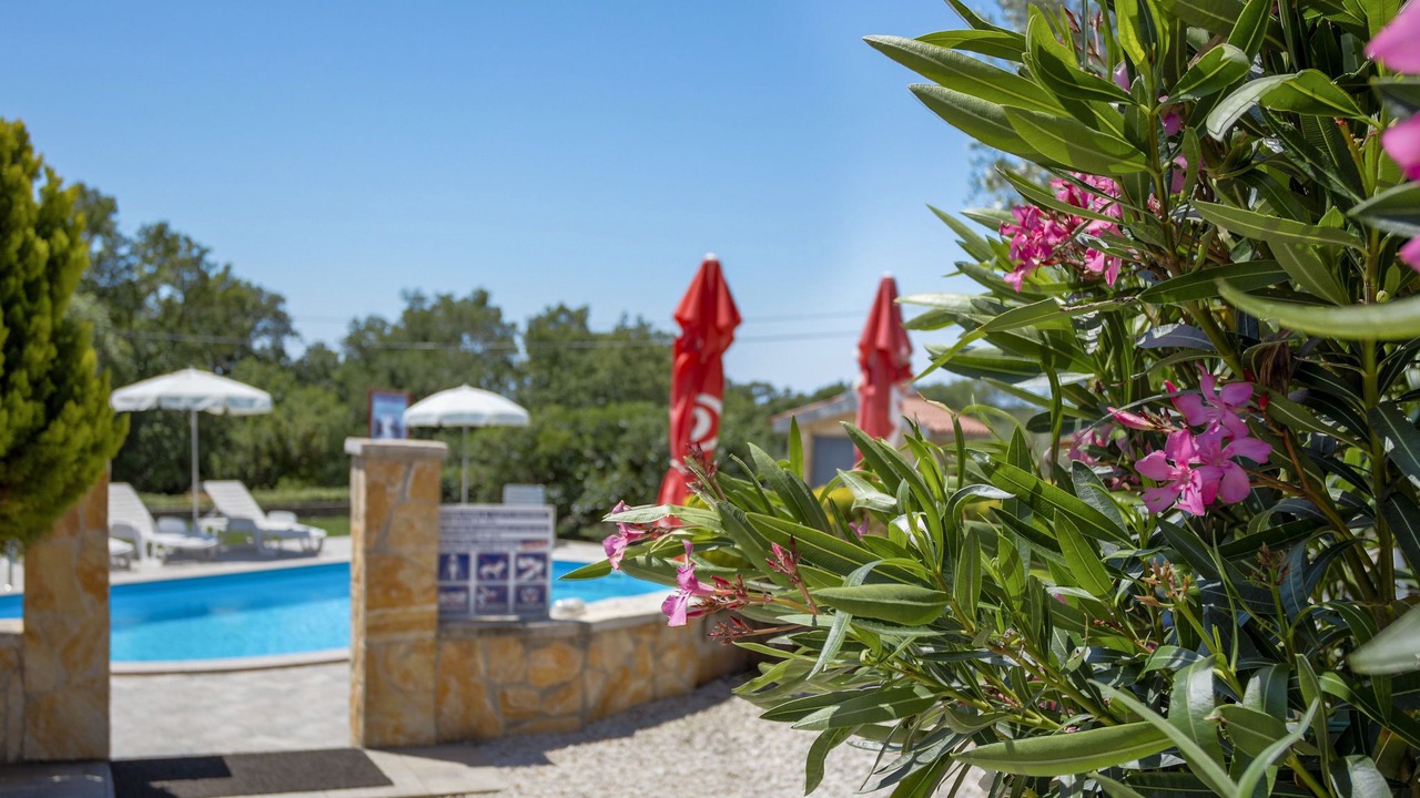 Photo of Outdoor in Brnobici