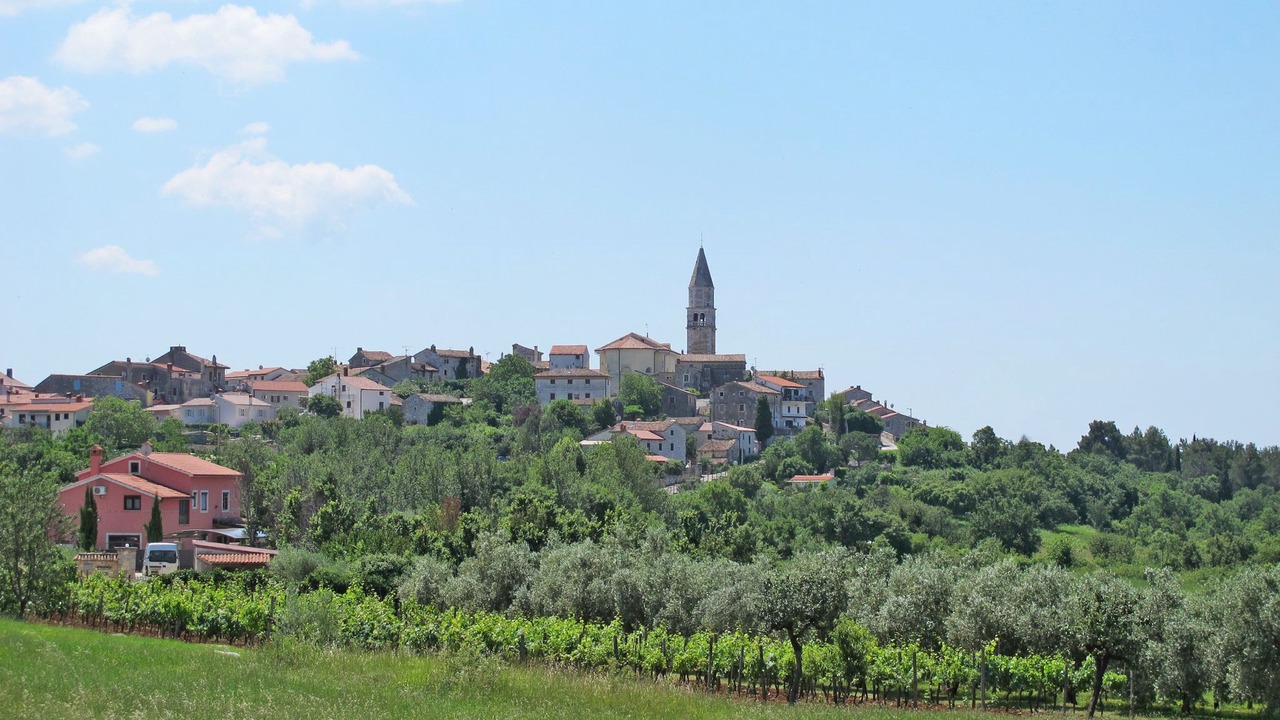 Photo of Outdoor in Brnobici