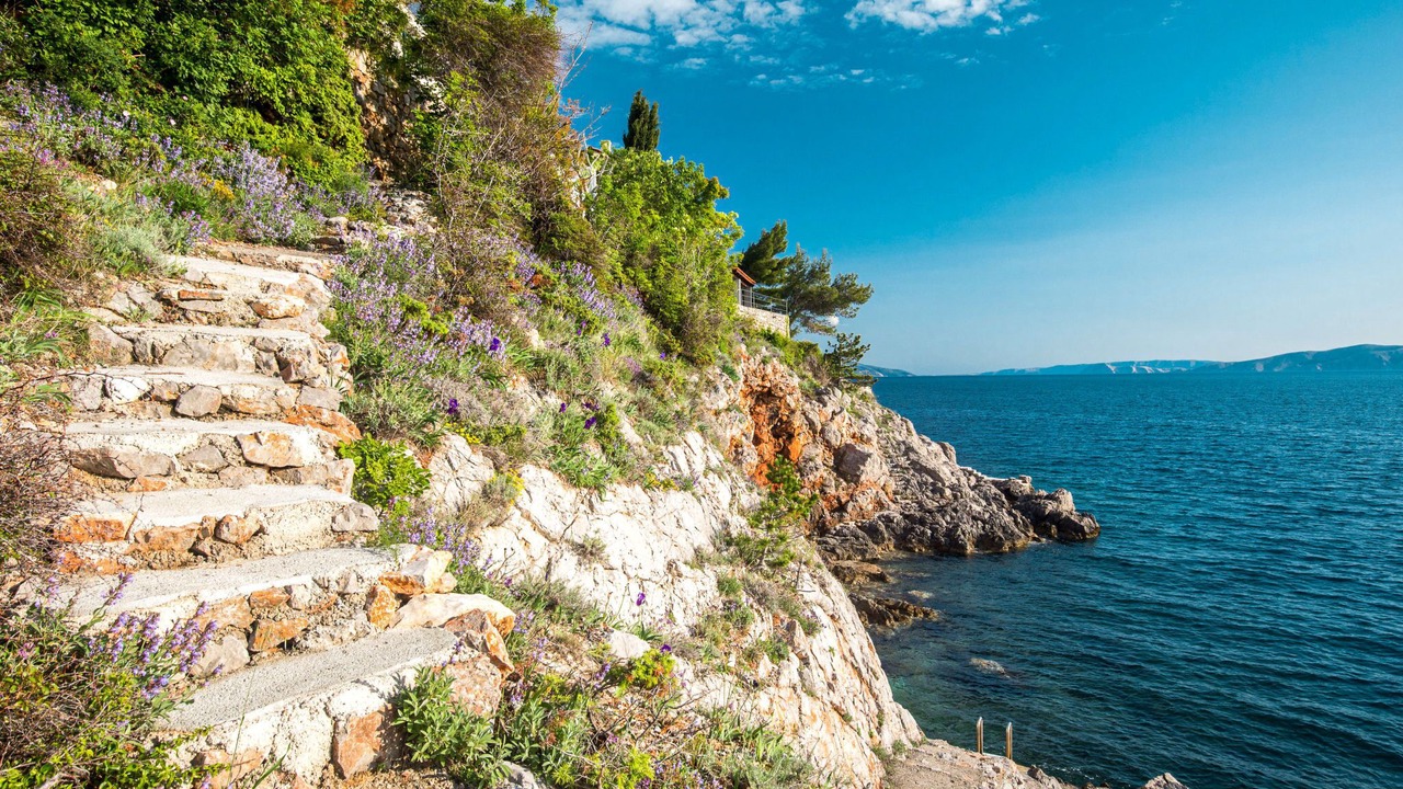 Photo of Others in Vratarusa