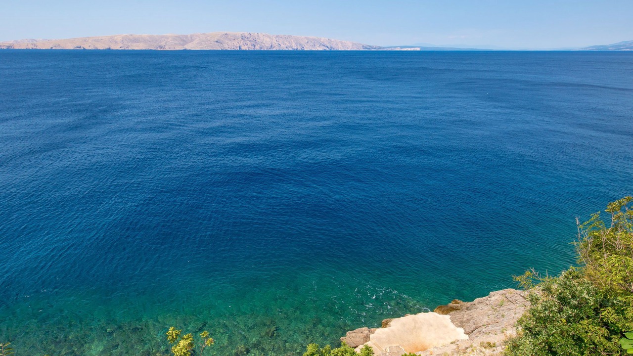 Photo of Others in Vratarusa