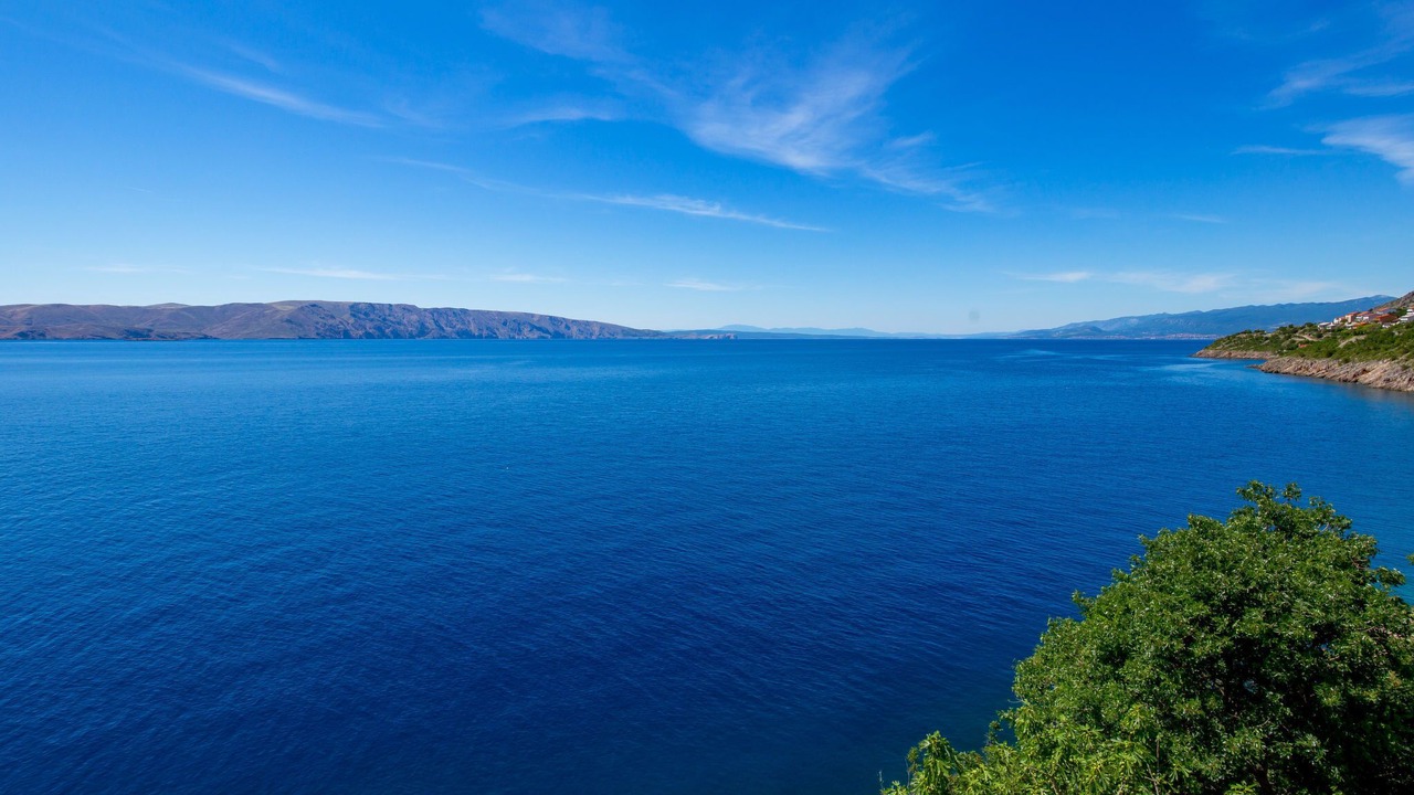 Photo of Others in Vratarusa