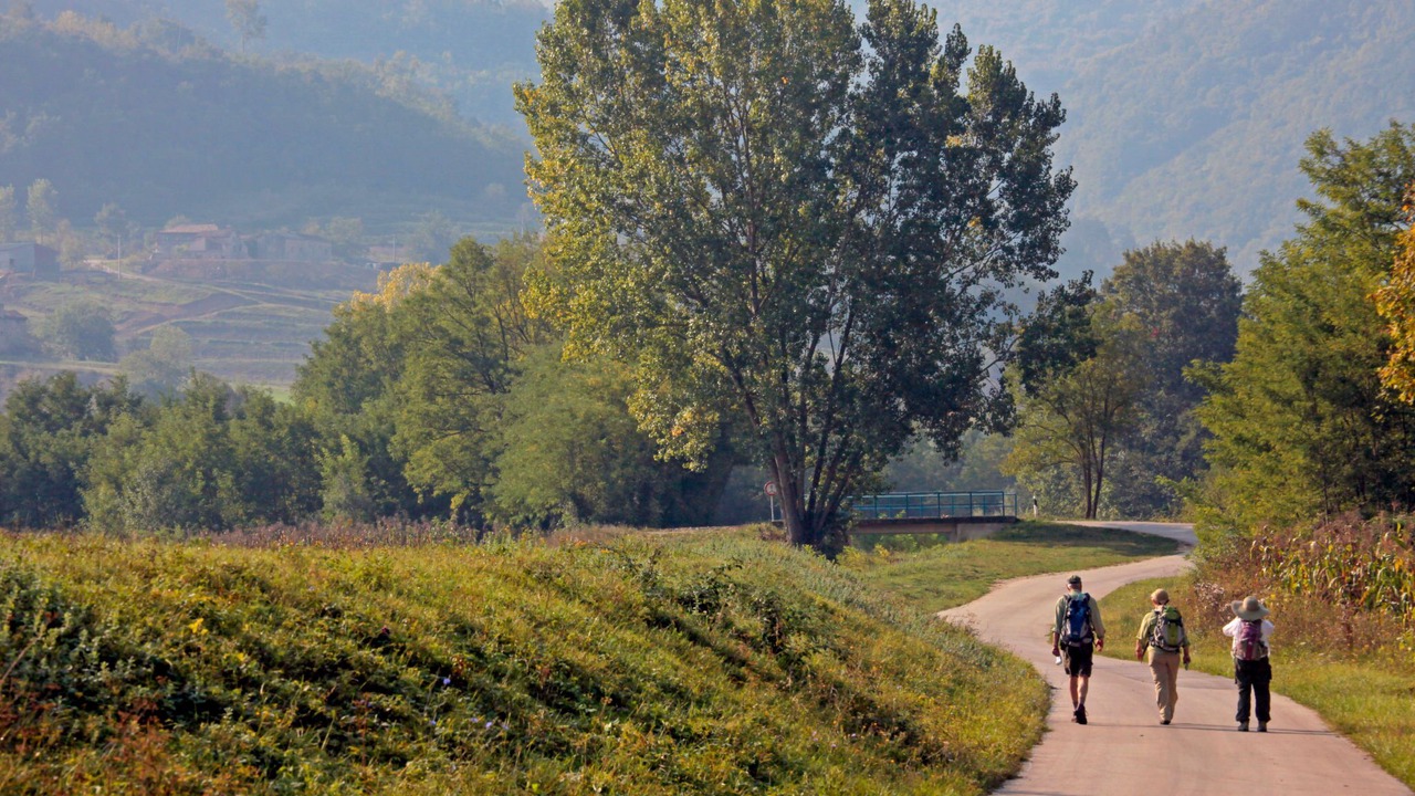 Photo of Others in Motovun