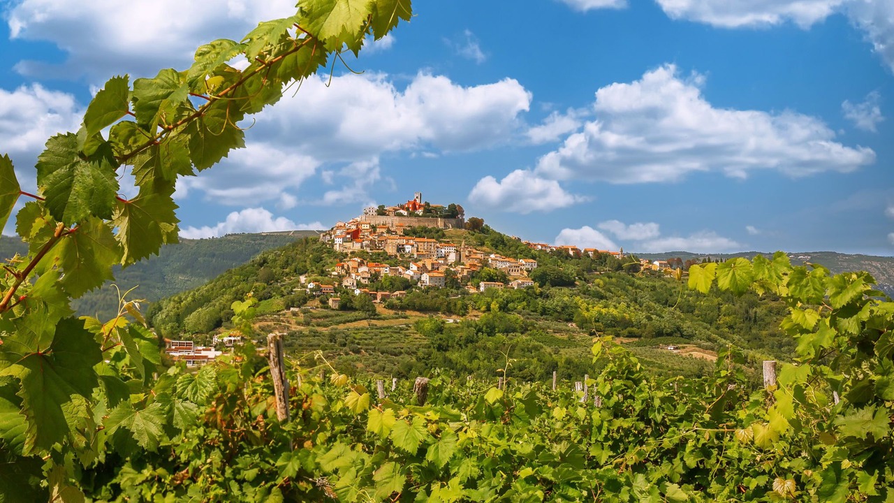 Photo of Others in Motovun