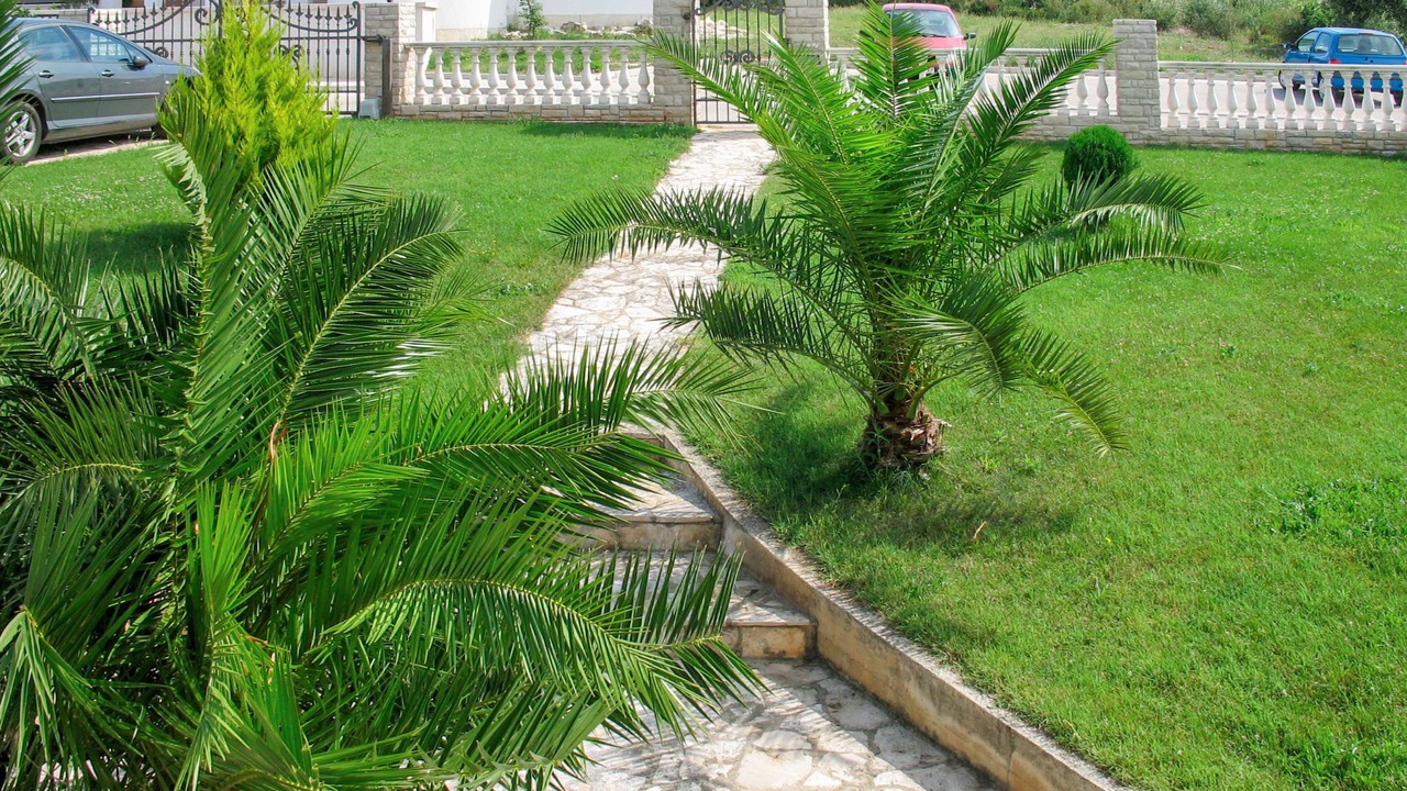 Photo of Outdoor in Pjescana Uvala