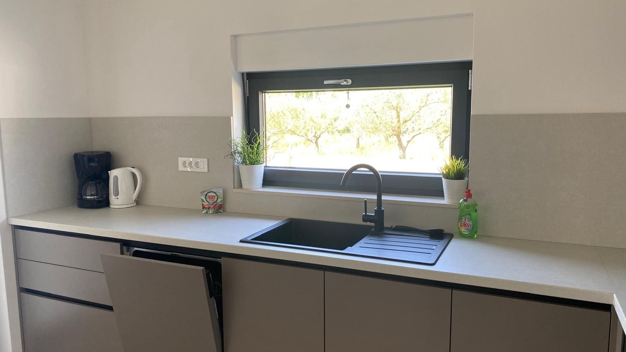 Photo of Kitchen in Petrovija