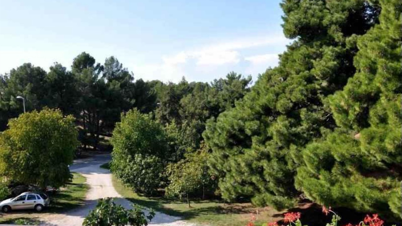Photo of Outdoor in Brulo