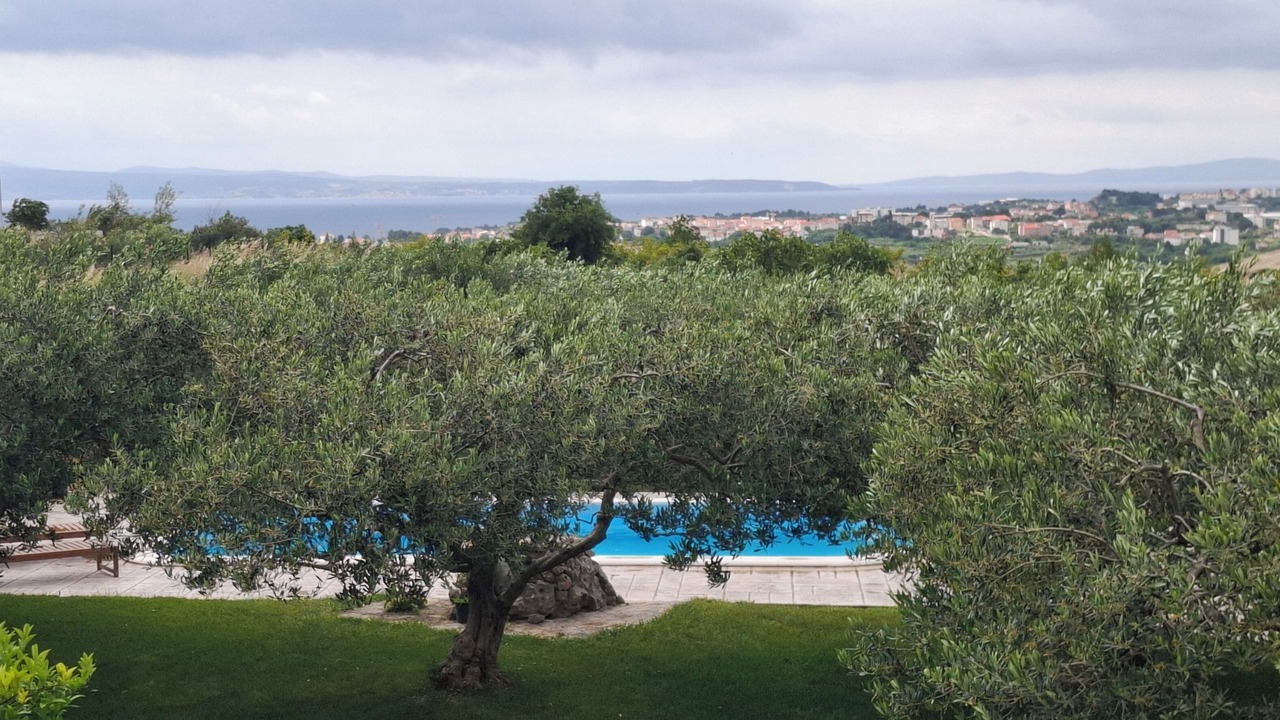 Photo of Outdoor in Mravince