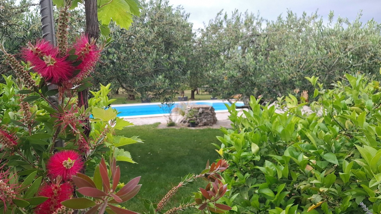 Photo of Outdoor in Mravince