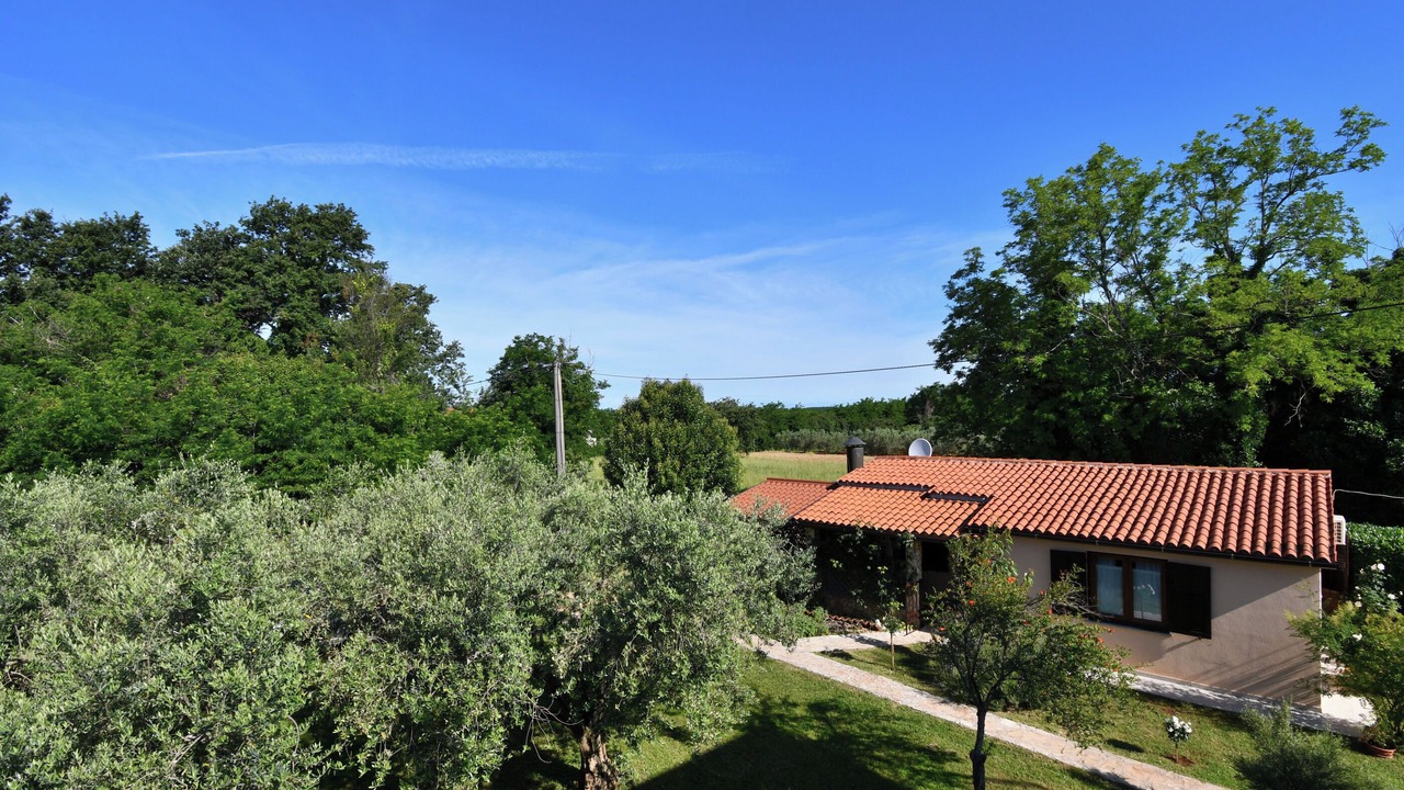 Photo of Outdoor in Radini