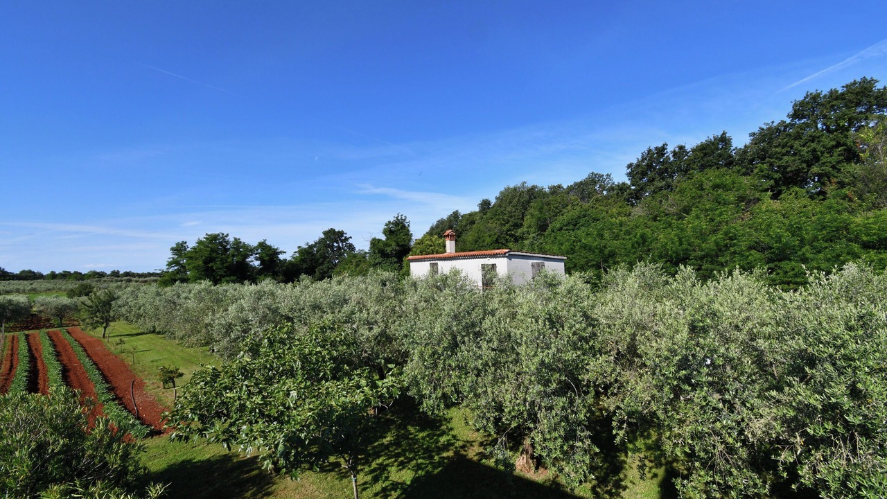 Photo of Outdoor in Radini