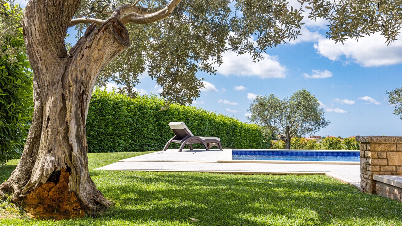 Photo of Outdoor in Galizana
