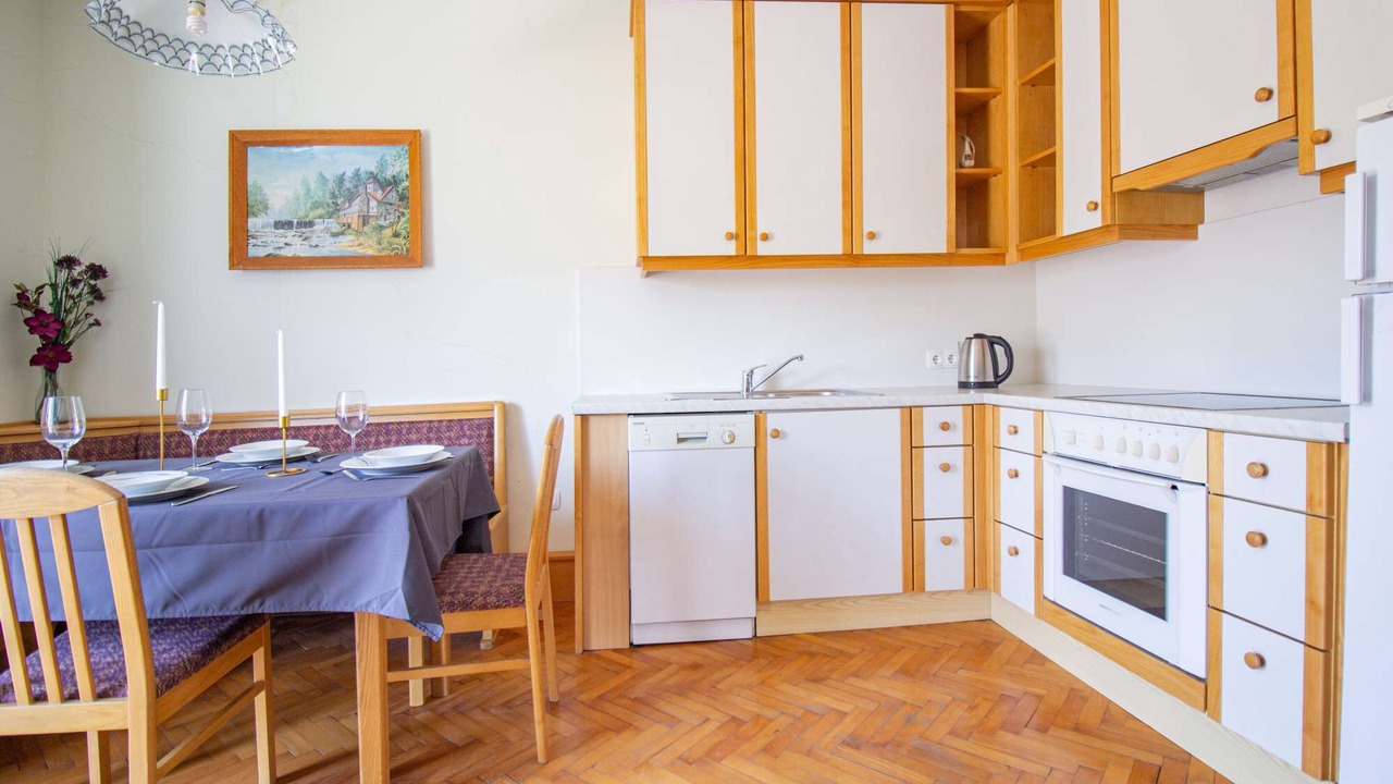 Photo of Kitchen in Metajna