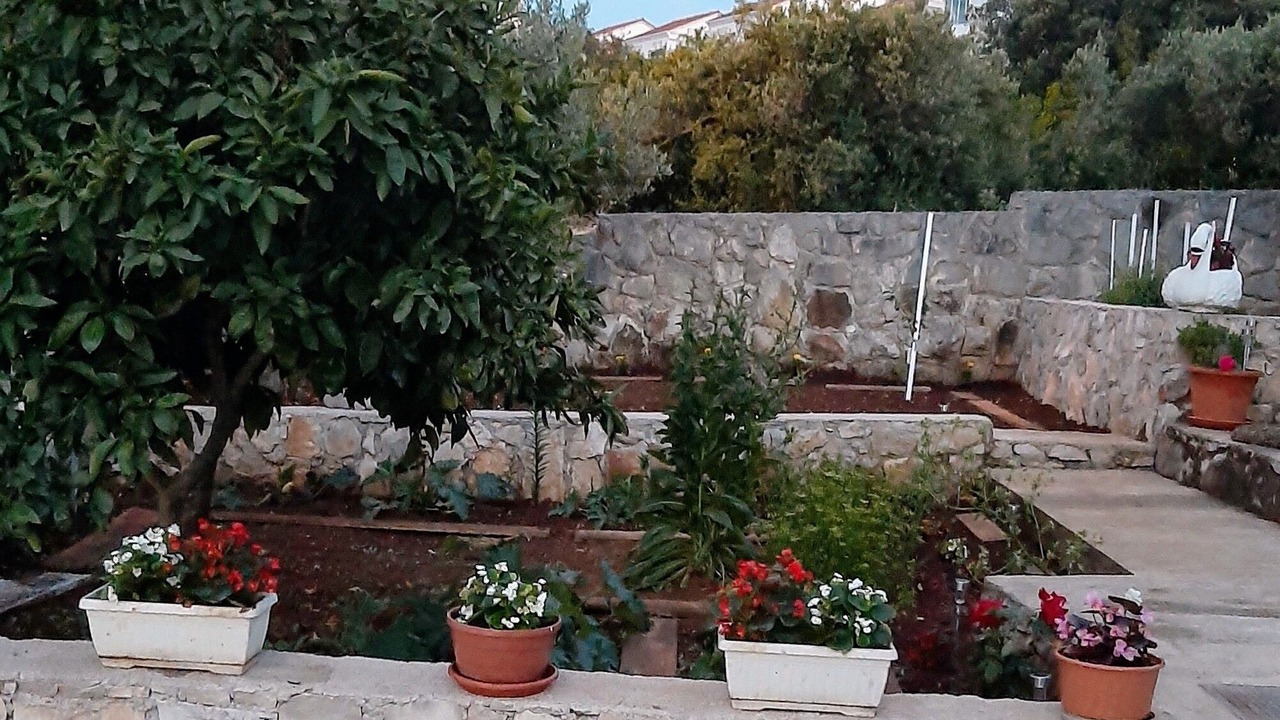 Photo of Outdoor in Necujam