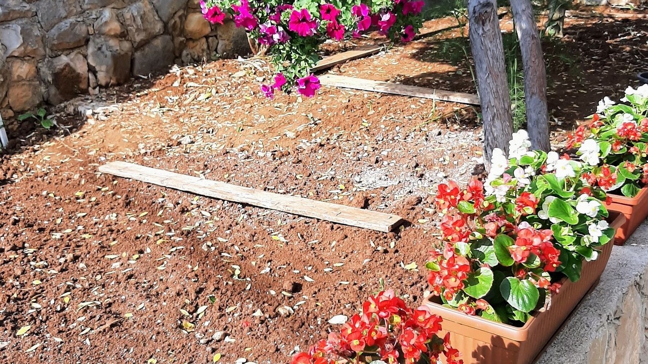 Photo of Outdoor in Necujam