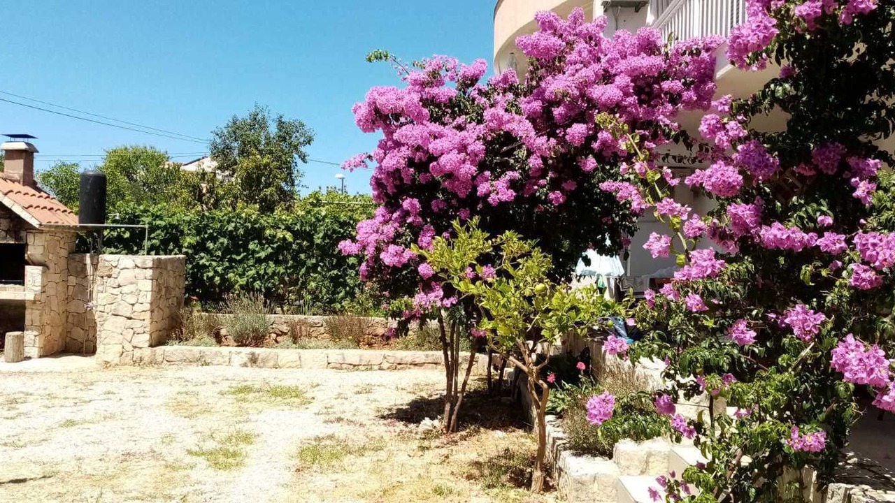 Photo of Outdoor in Srima
