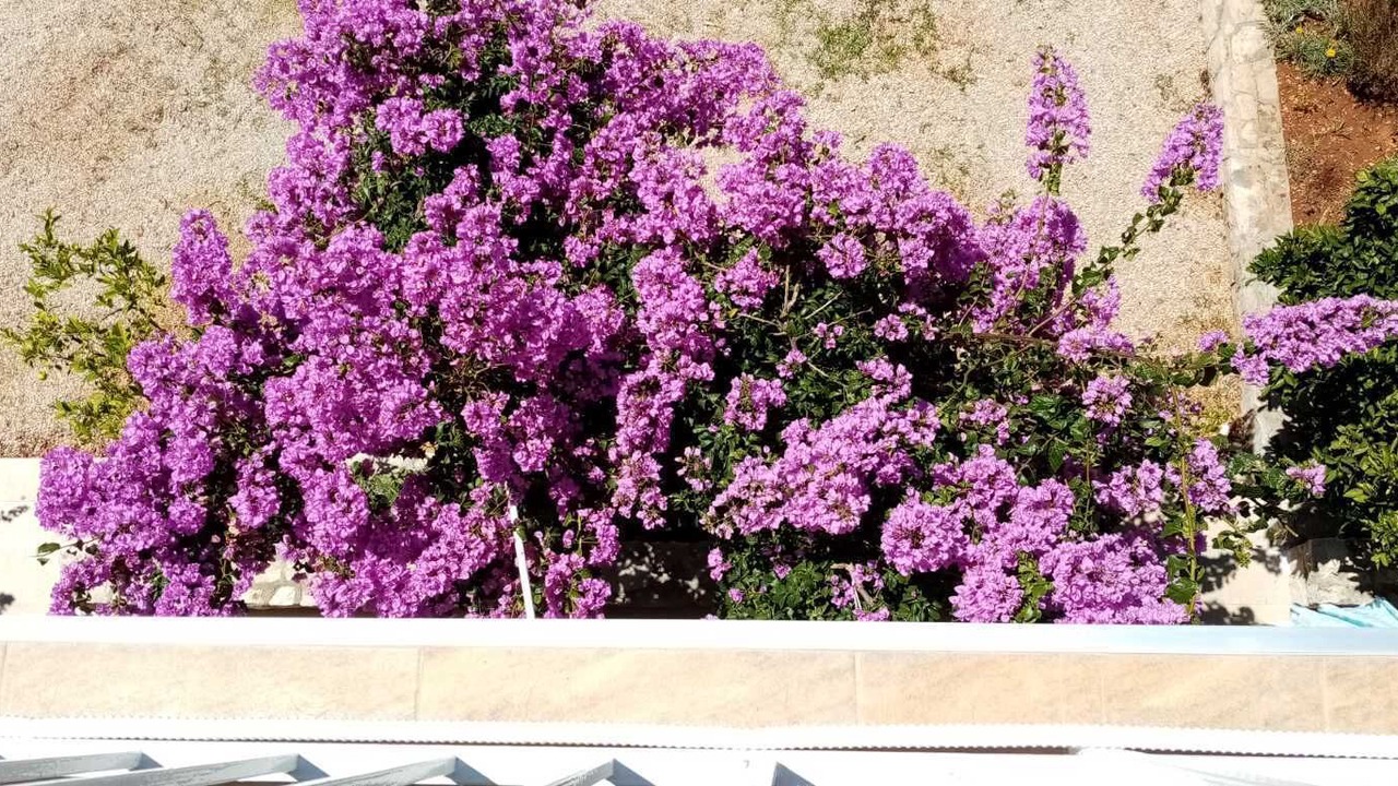 Photo of Outdoor in Srima
