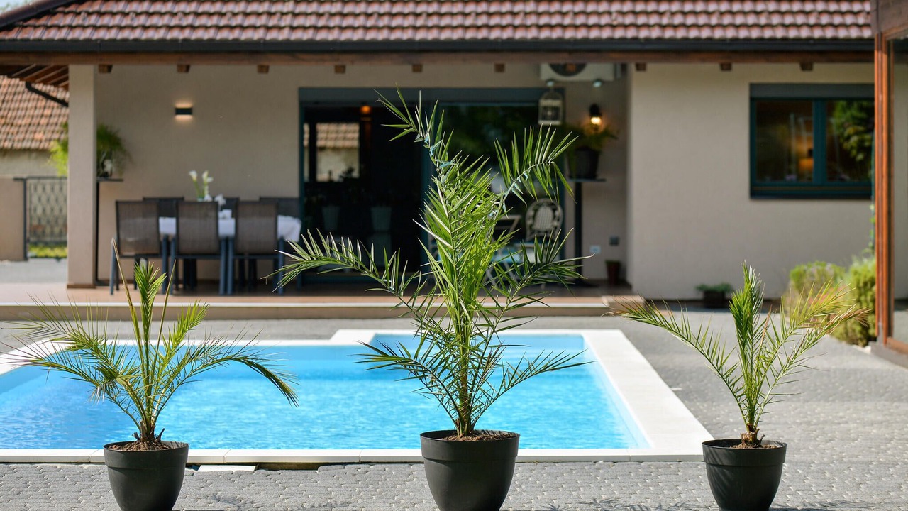 Photo of Outdoor in Puscine