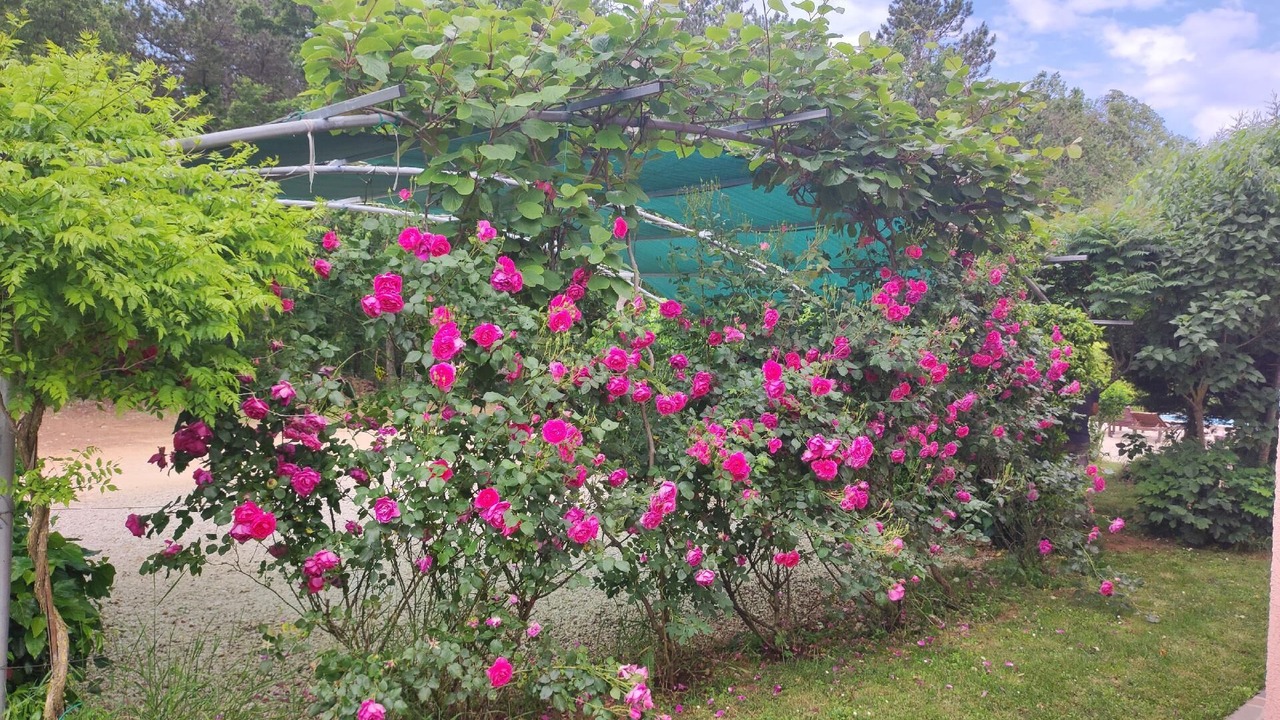 Photo of Outdoor in Laginji
