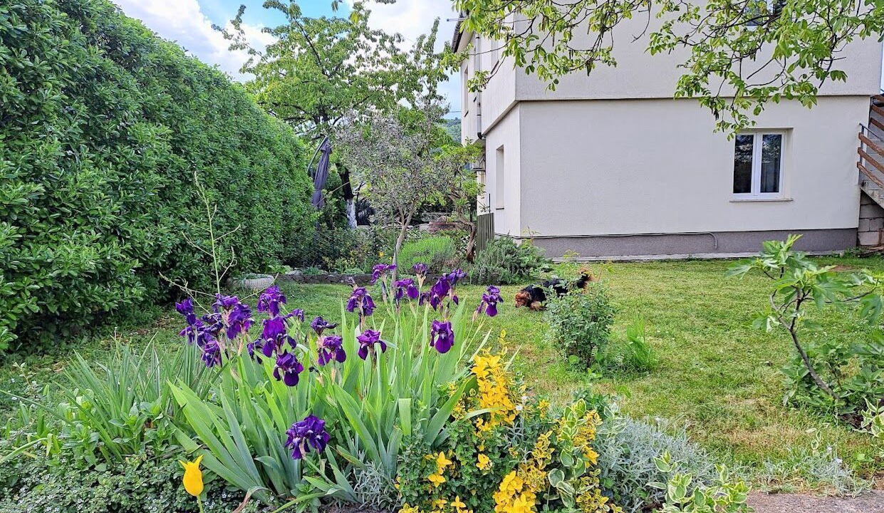 Photo of Outdoor in Sarsoni
