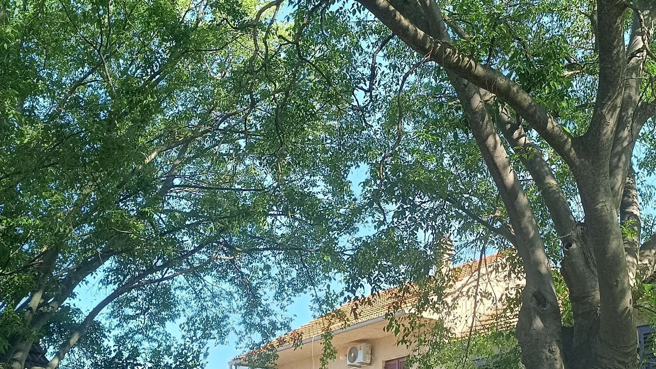 Photo of Outdoor in Drnis
