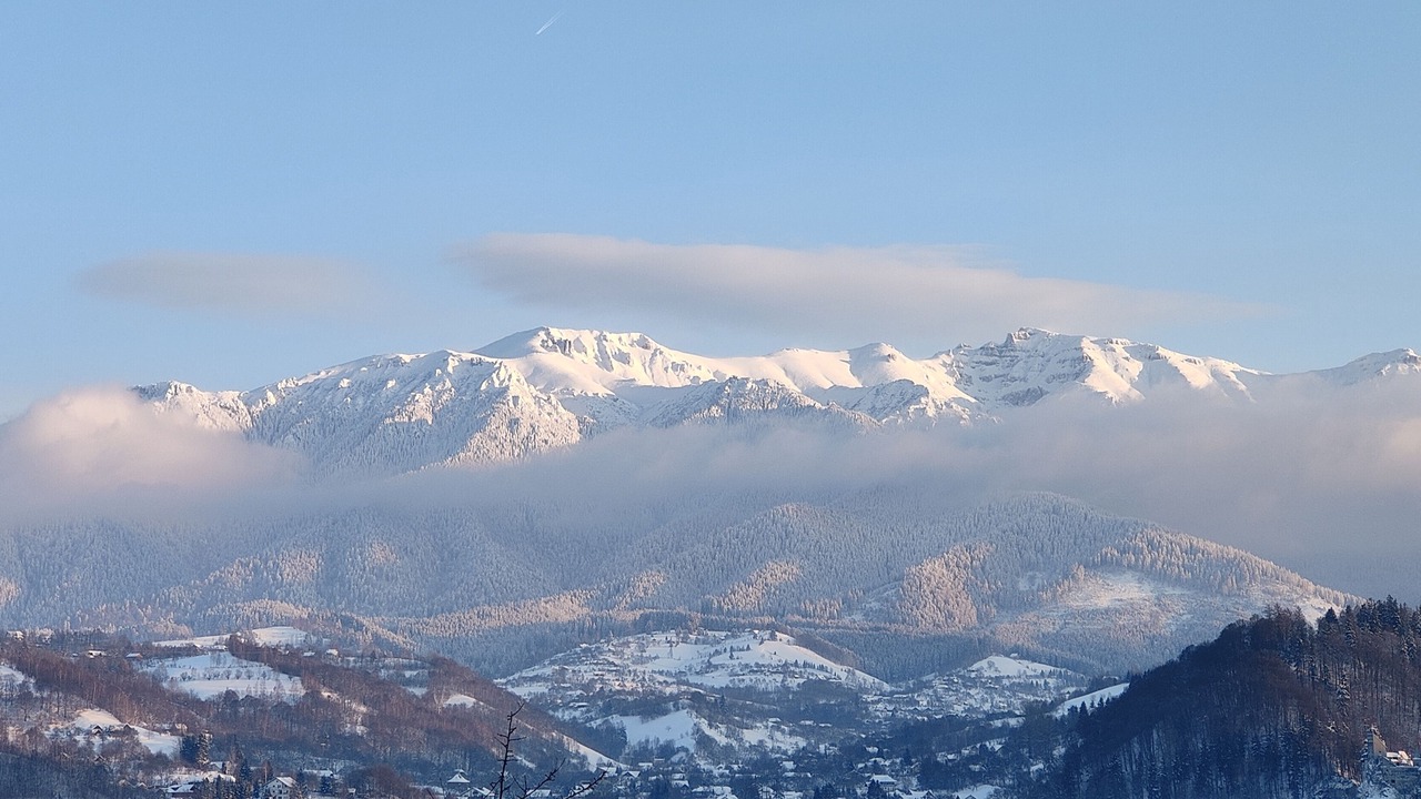 Photo of Outdoor in Bran