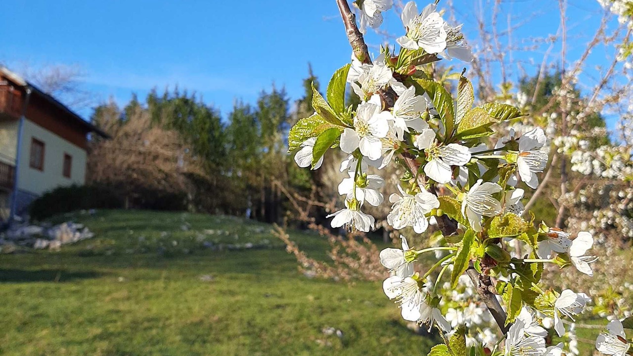 Photo of Outdoor in Dreznik Grad